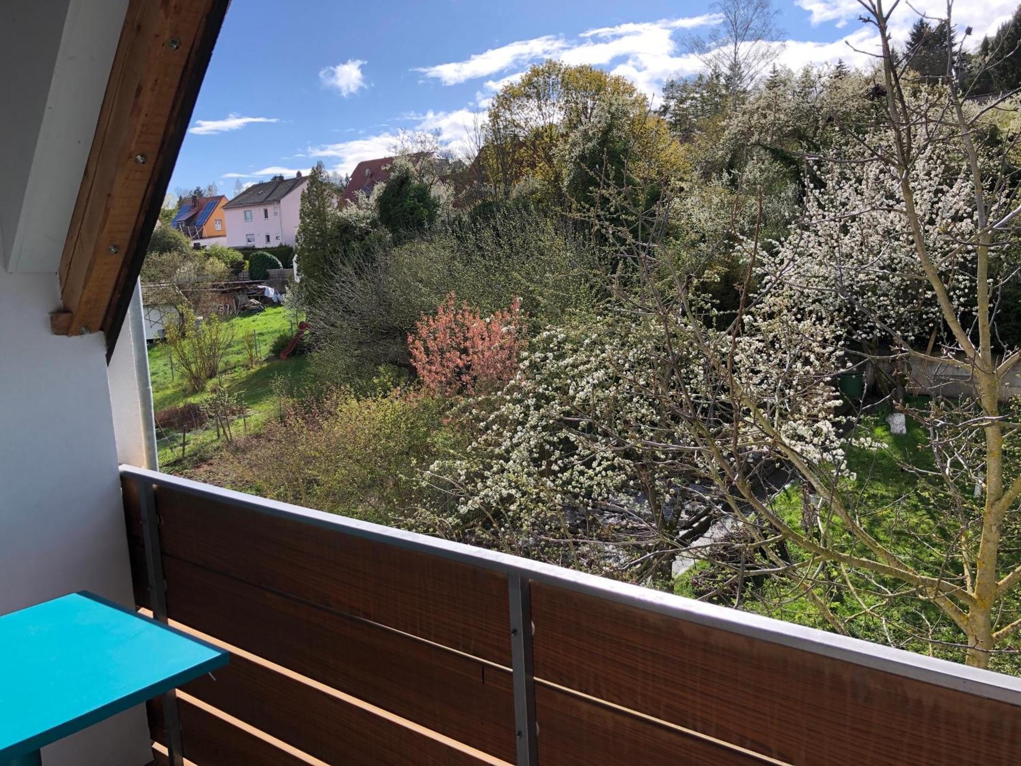 Blaues Zimmer Mit Grossem Balkon, Bad Ist Ein Traum, 50 Schritte Zum Radweg Am Main,Ideal For Short Stay Mainstockheim Exterior foto