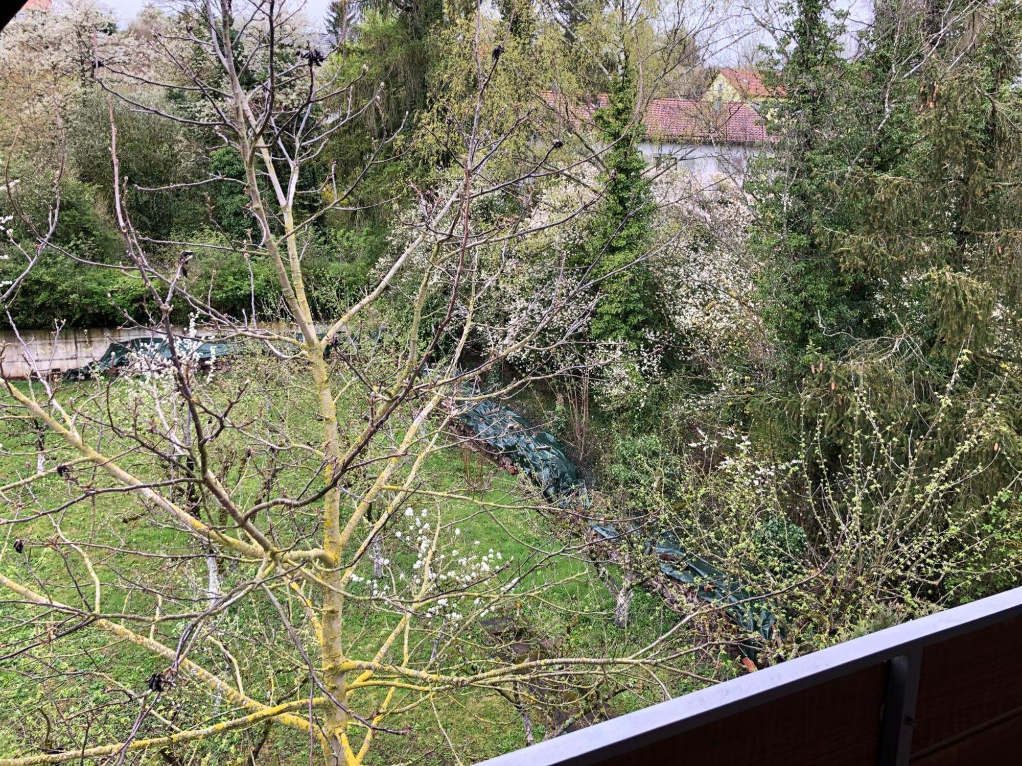 Blaues Zimmer Mit Grossem Balkon, Bad Ist Ein Traum, 50 Schritte Zum Radweg Am Main,Ideal For Short Stay Mainstockheim Exterior foto